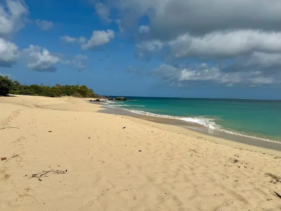 Villa Happy View - Vue Mer Paradisiaque - Piscine La Savane 0*,